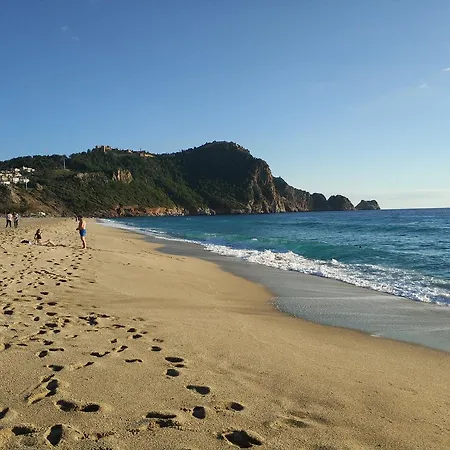 20 Cleopatra Select Апартаменты Алания