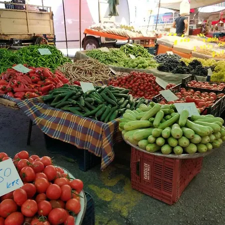 Lejlighed 20 Cleopatra Select